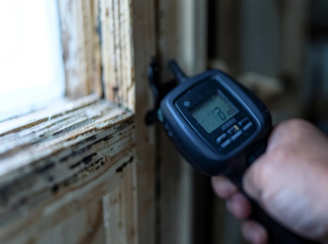 Ceiling Water Damage Repair in Belk, AL